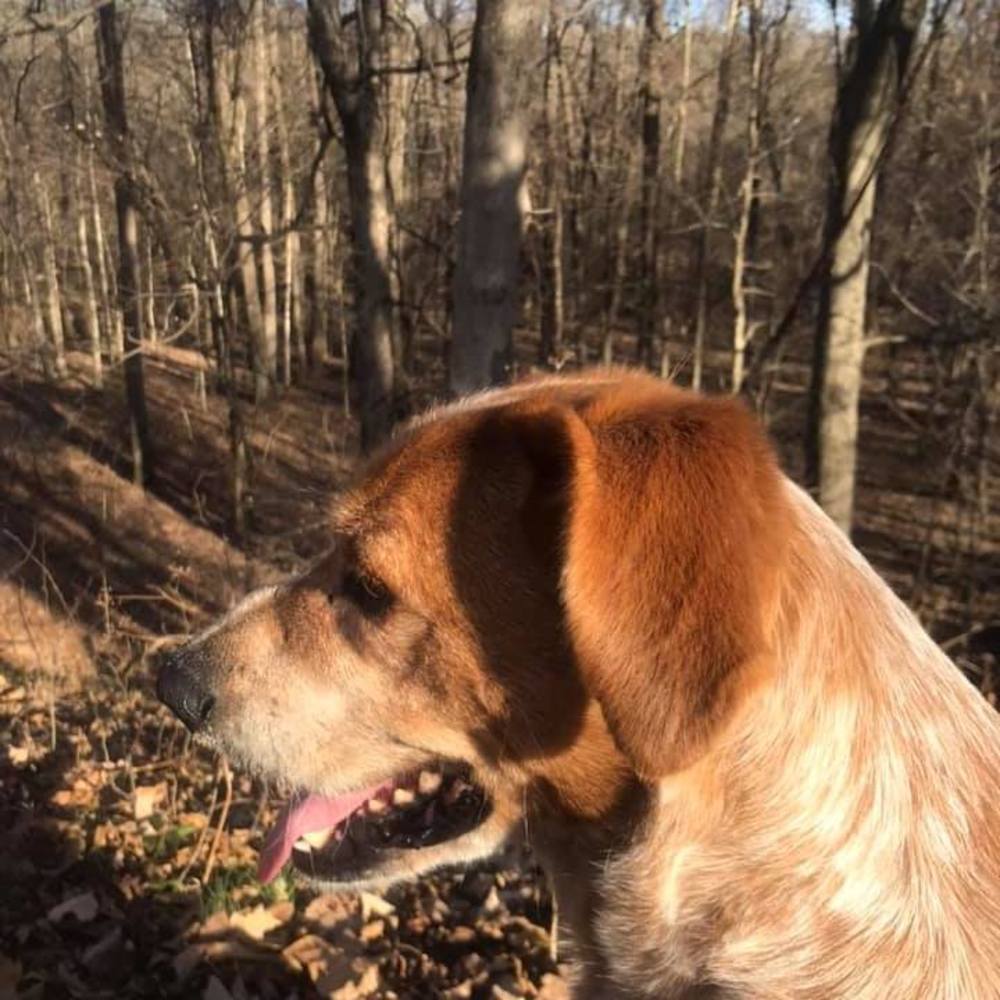 Meet your Posher, Russell